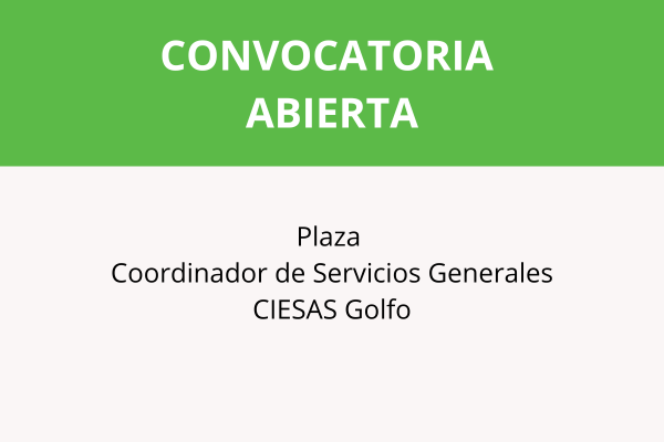 Convocatoria plaza Coordinador de Servicios Generales