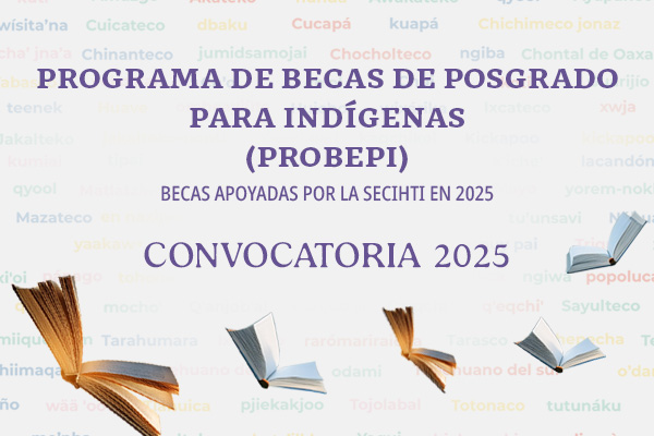 Convocatoria PROBEPI 2025